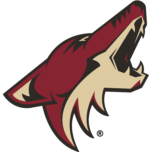 Arizona Coyotes iron ons